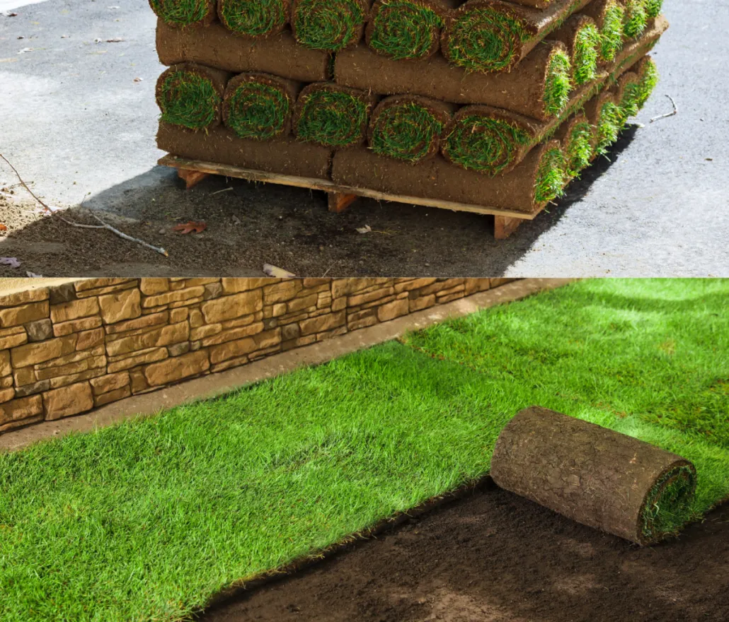 Rolled sod installed by Green Cuts for a new lawn